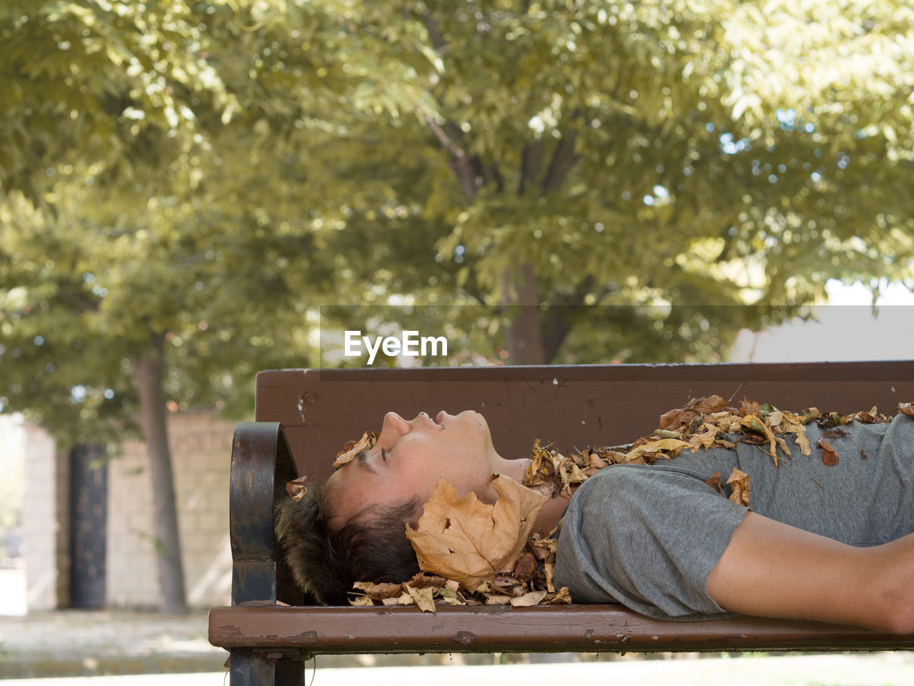 Side view of teenager sleeping with fallen dry leaves on bench