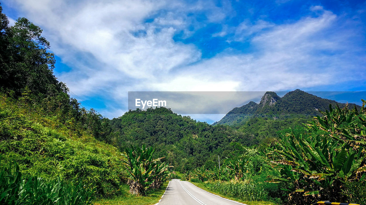 ROAD AMIDST PLANTS AGAINST SKY