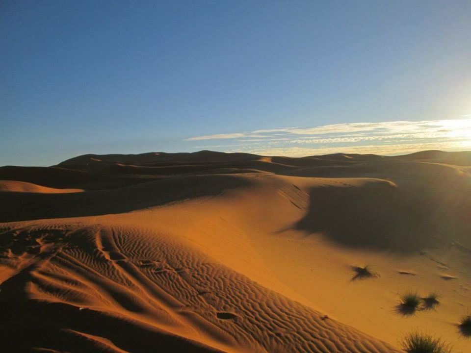 VIEW OF DESERT LANDSCAPE
