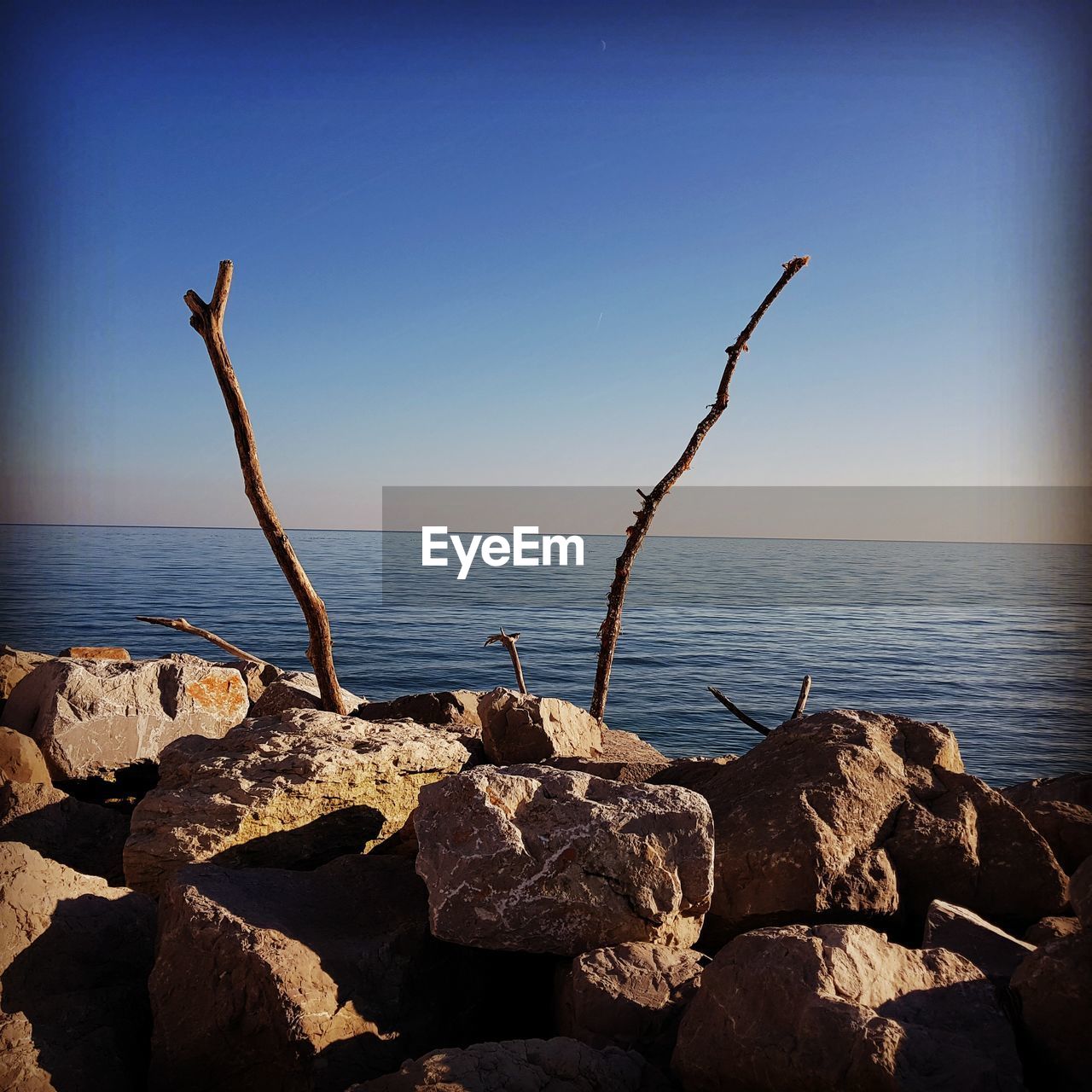 DRIFTWOOD ON BEACH AGAINST CLEAR SKY