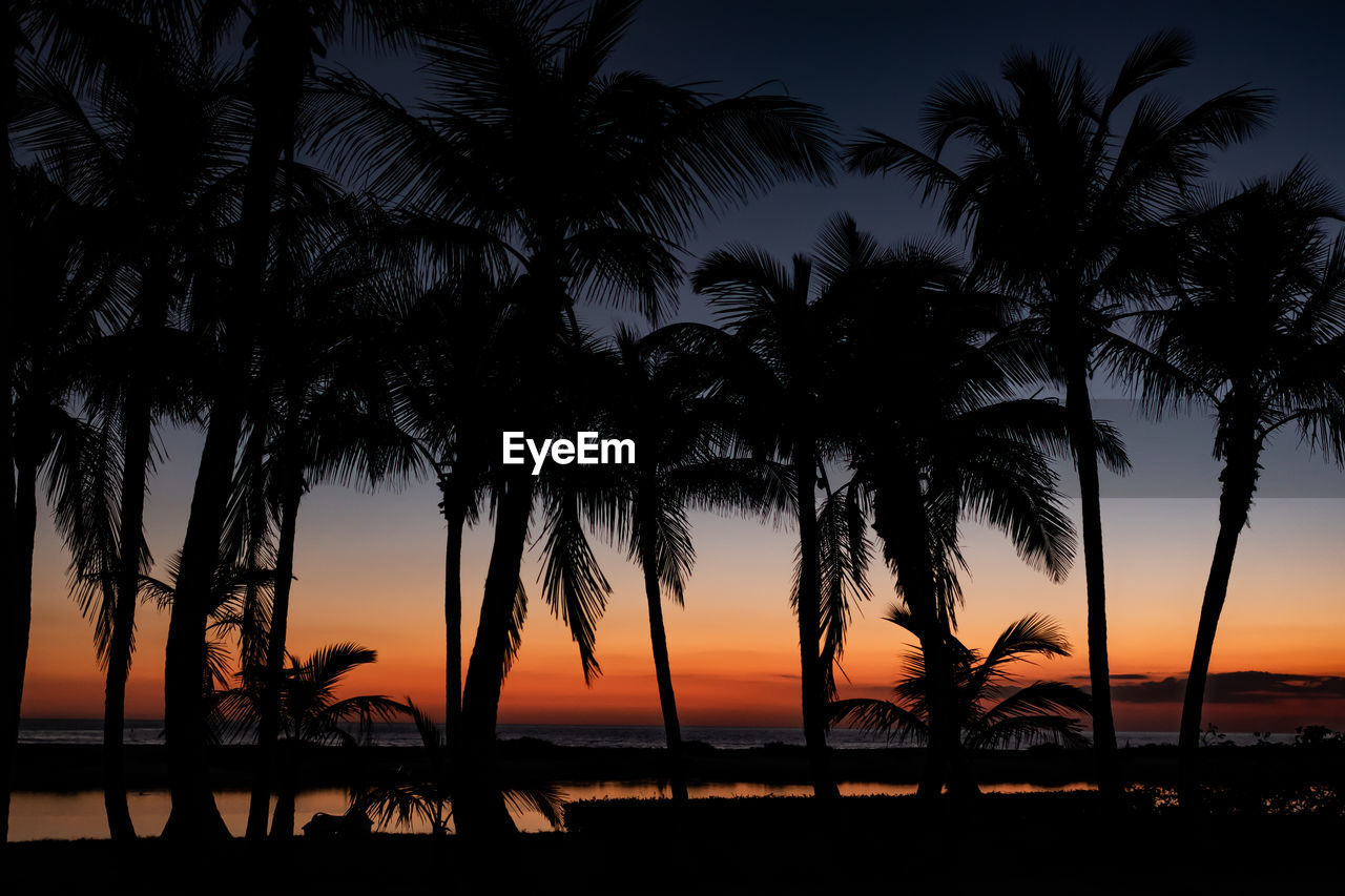 Silhouette palm trees at beach against sky during sunset