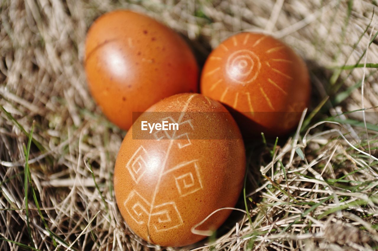 High angle view of orange easter eggs on grass