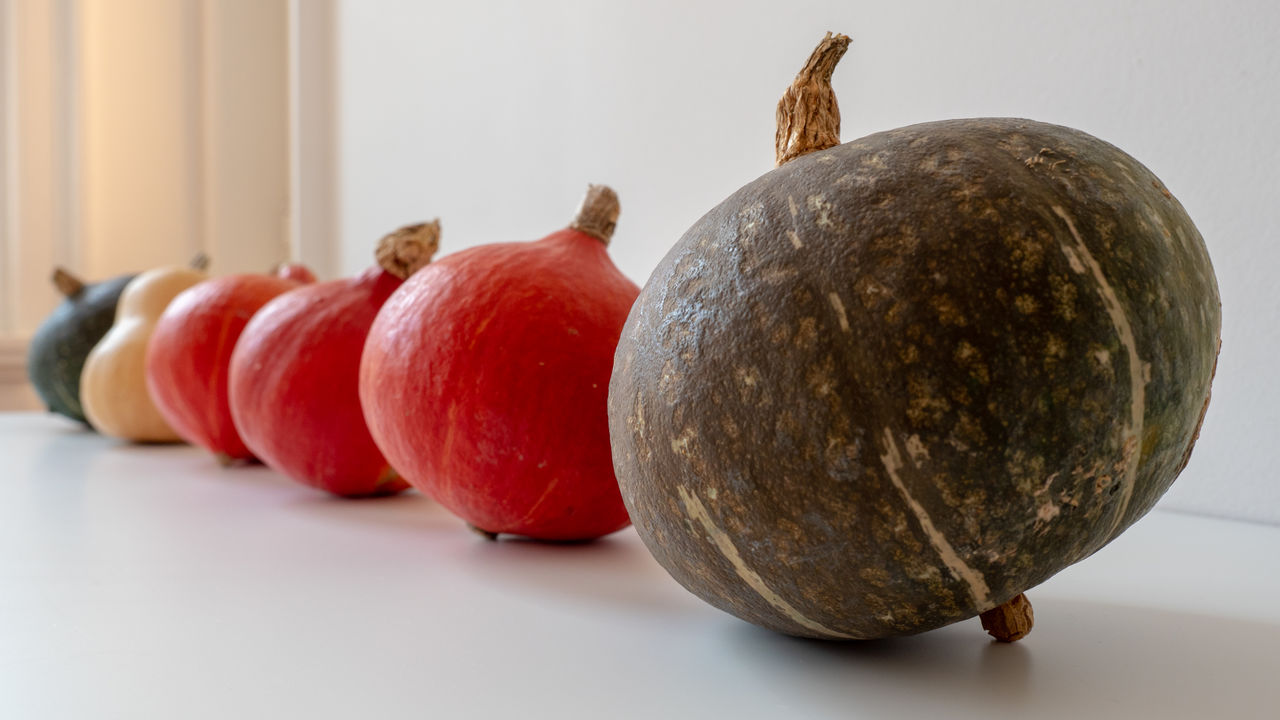 Close-up of pumpkins in a row on white table