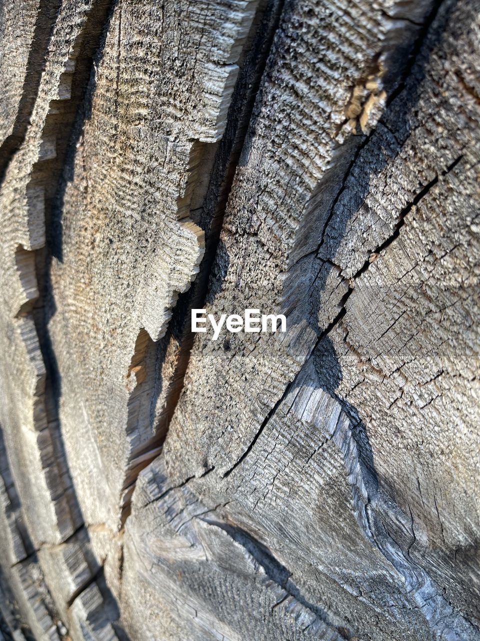 full frame, wood, backgrounds, no people, pattern, textured, rock, close-up, day, geology, nature, outdoors, trunk, rough, high angle view, sunlight