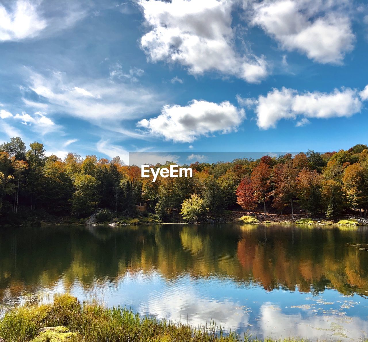 Scenic view of lake by trees against sky