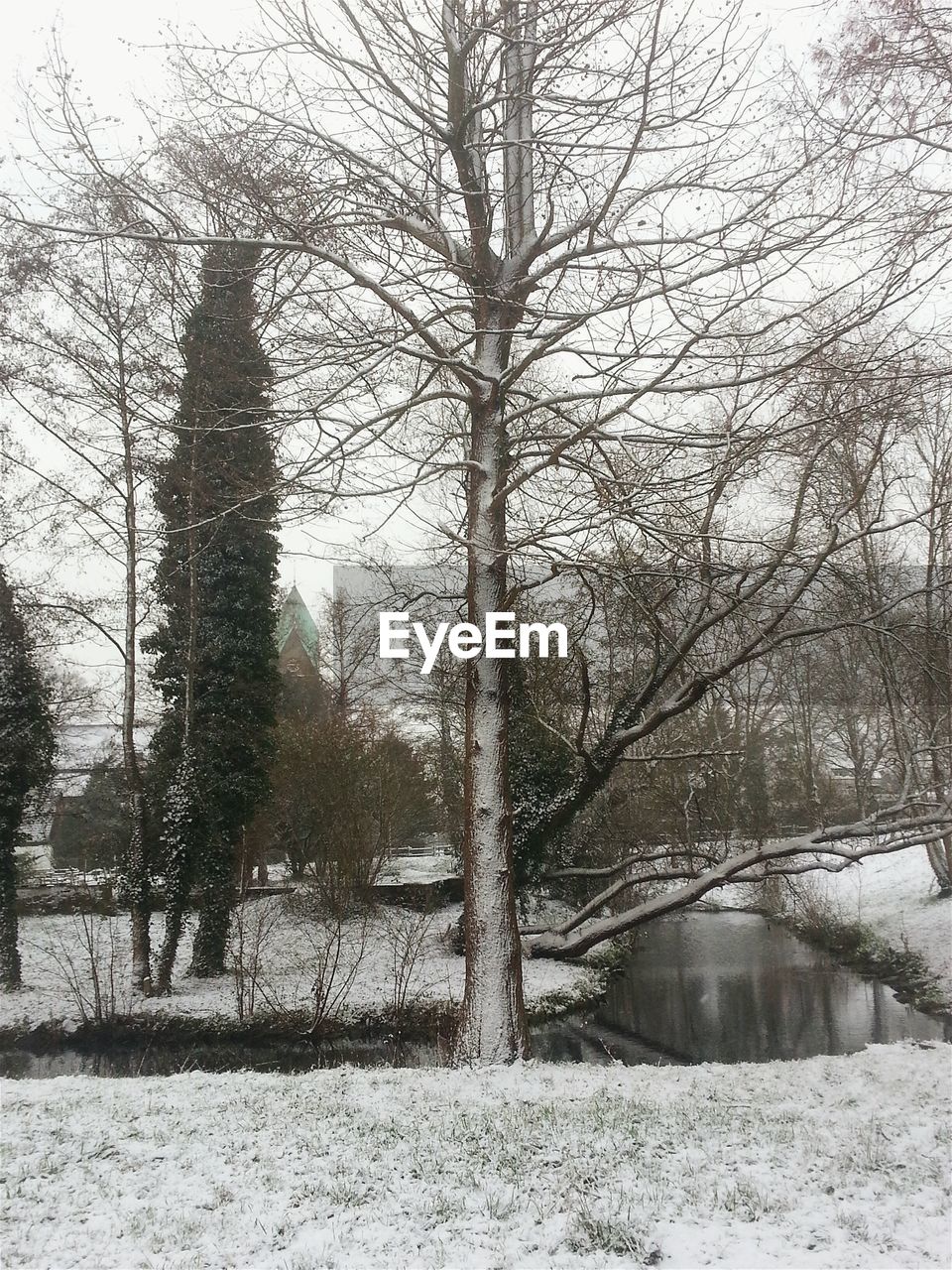 TREES ON SNOW COVERED FIELD AGAINST SKY