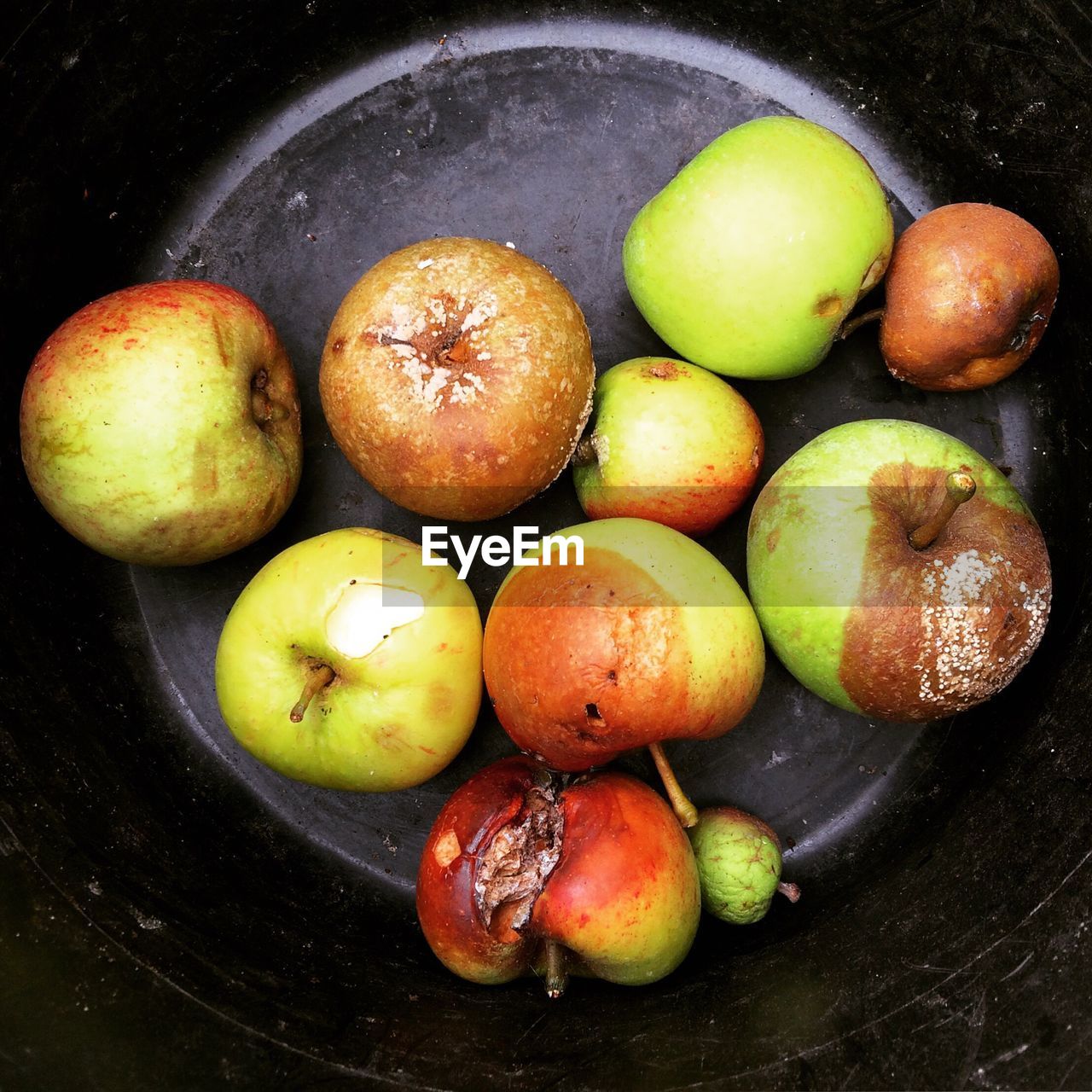 High angle view of rotten fruits in container