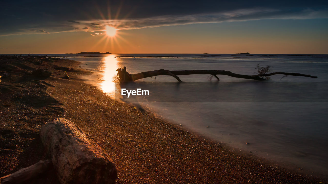 Sandy beach and timber in water at sunset