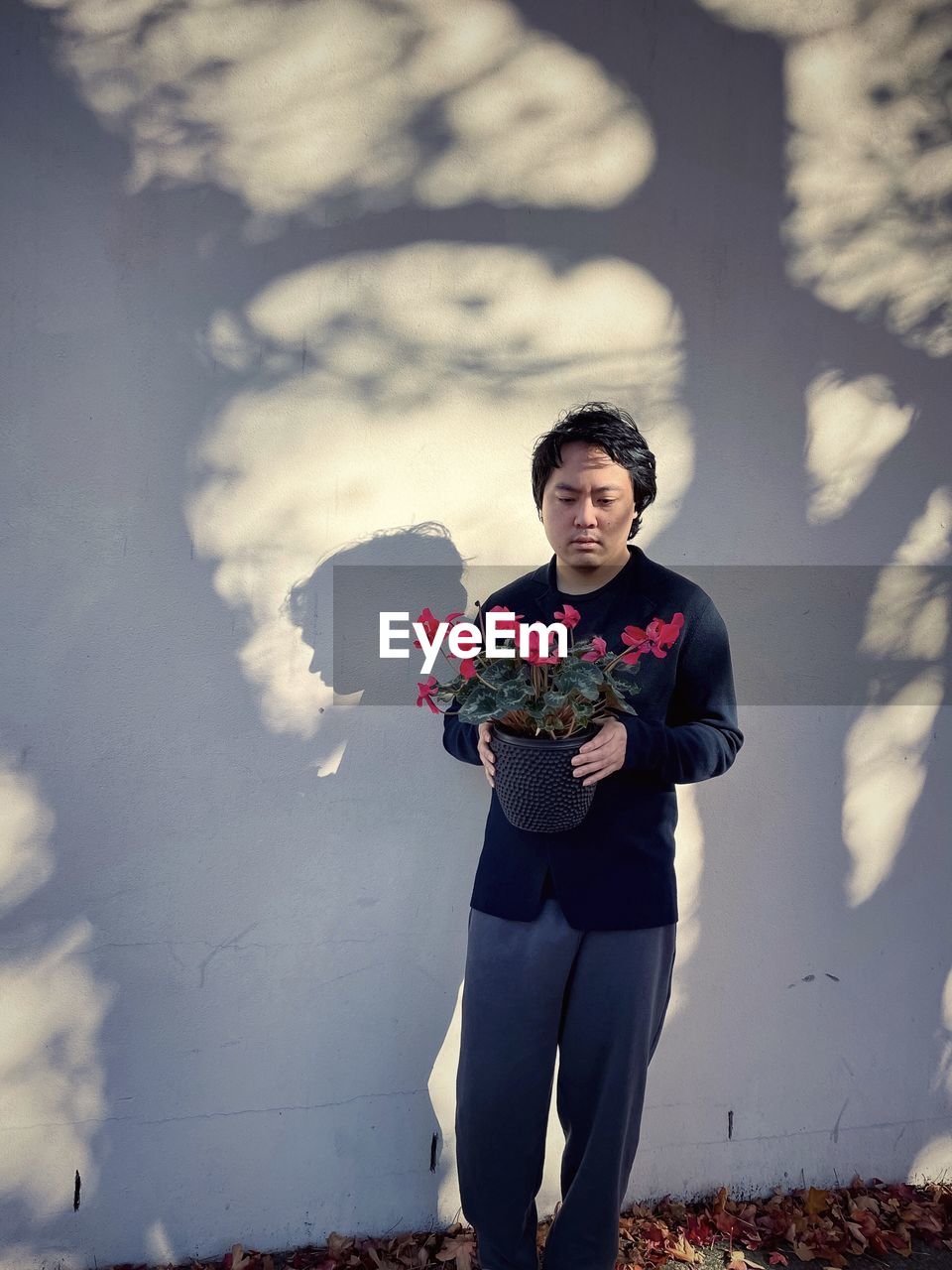 Young asian man holding red flowering cyclamen potted plant against shadow patterned wall.