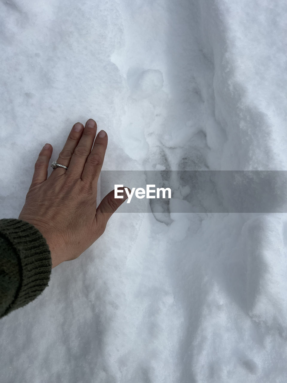 hand, snow, white, one person, cold temperature, winter, nature, freezing, adult, high angle view, personal perspective, day, limb, human limb, leisure activity, outdoors, frozen, close-up