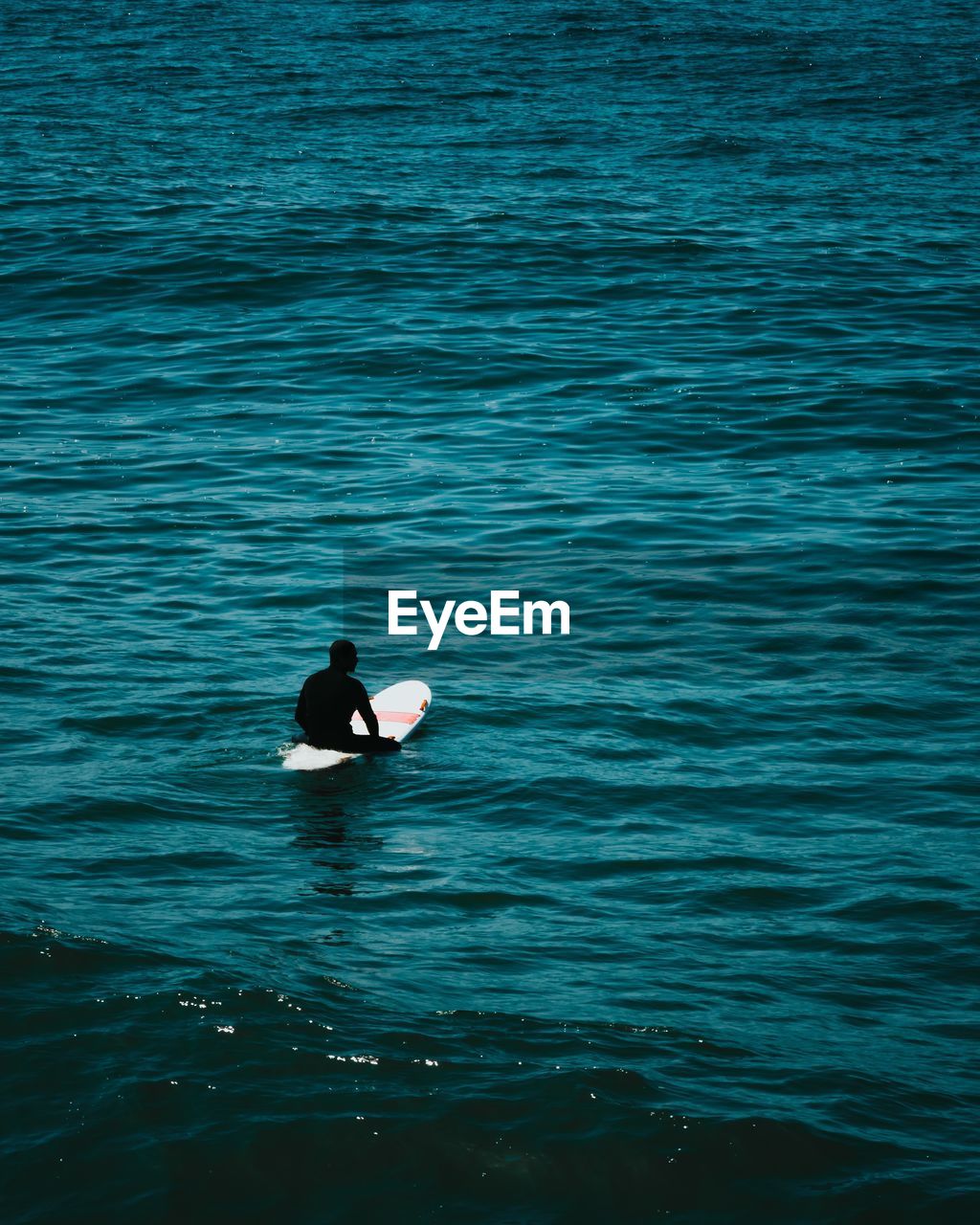 HIGH ANGLE VIEW OF BIRD SWIMMING IN SEA