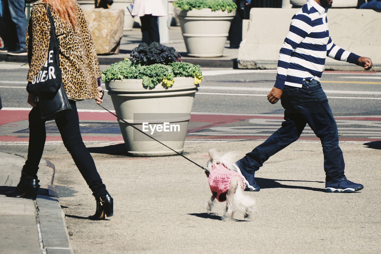 Low section of woman walking with dog on road during sunny day