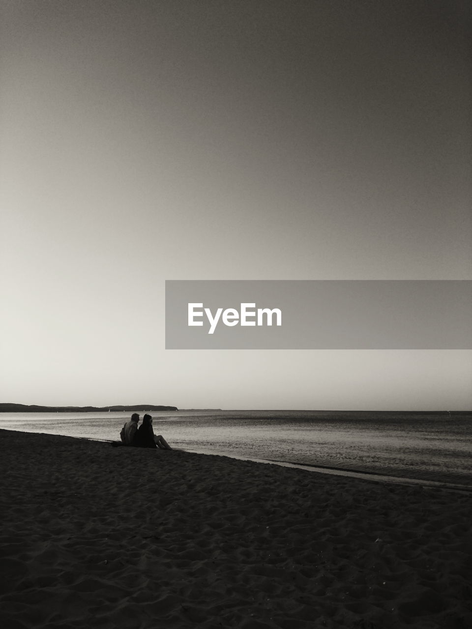 Friends sitting on shore against sea at beach