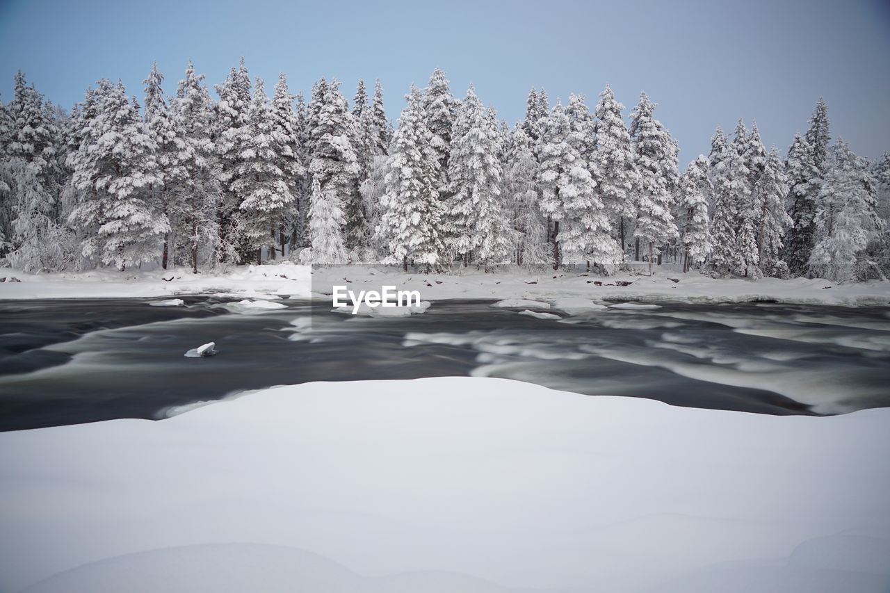 winter, snow, cold temperature, tree, frozen, reflection, nature, ice, water, plant, scenics - nature, freezing, beauty in nature, sky, tranquility, environment, tranquil scene, landscape, no people, lake, forest, pine tree, land, frost, coniferous tree, day, pinaceae, non-urban scene, blue, outdoors, pine woodland, clear sky, mountain, woodland, idyllic