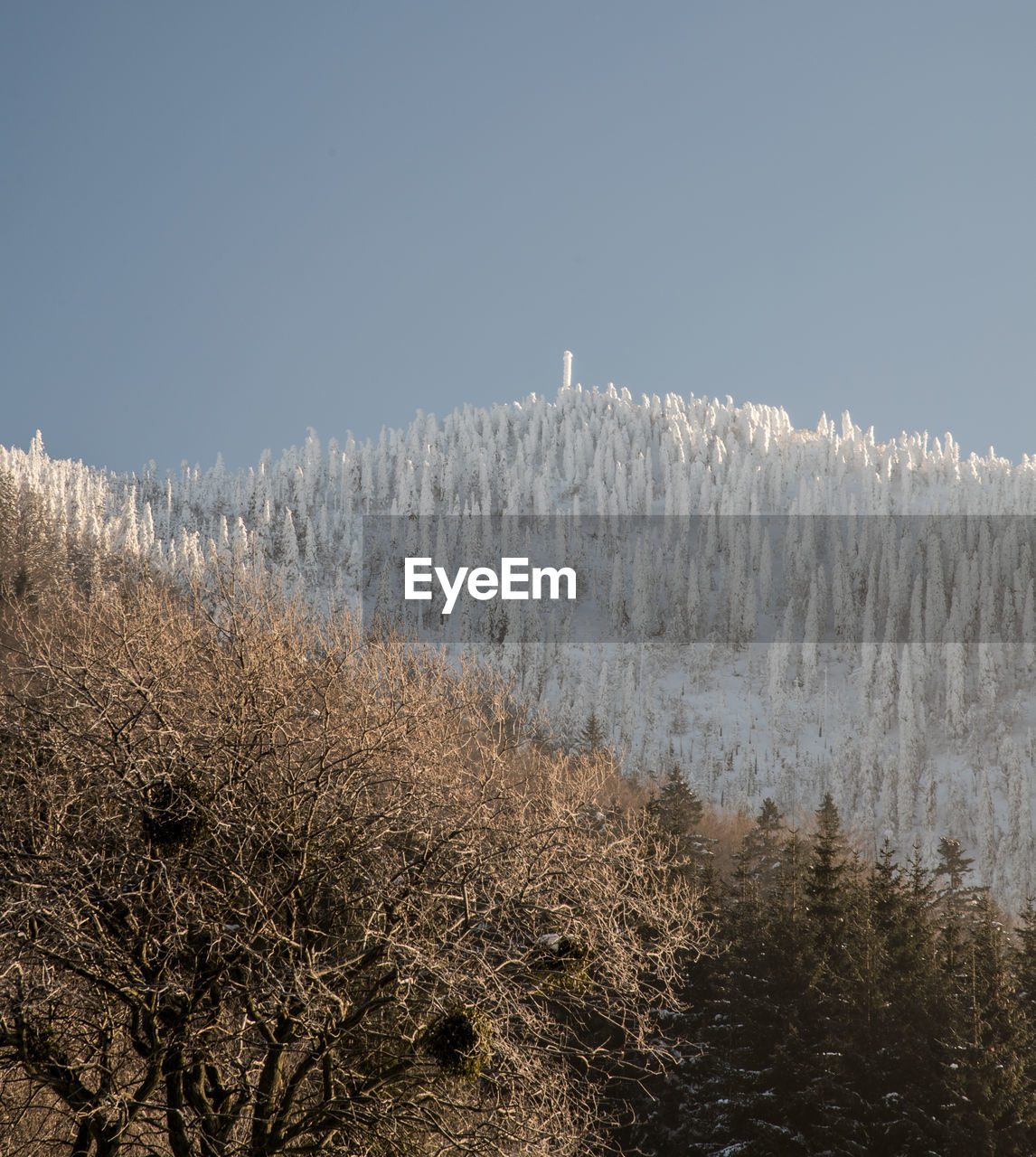 Scenic view of snow covered land against clear sky