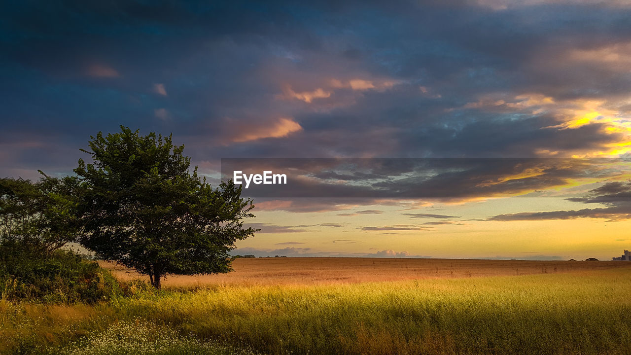 Scenic view of field against sky during sunset