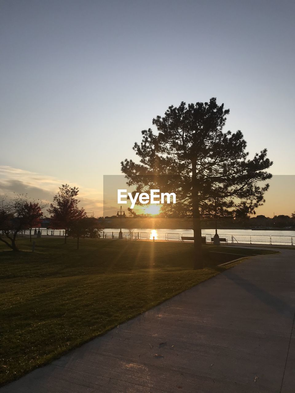 SILHOUETTE TREES AGAINST CLEAR SKY DURING SUNSET