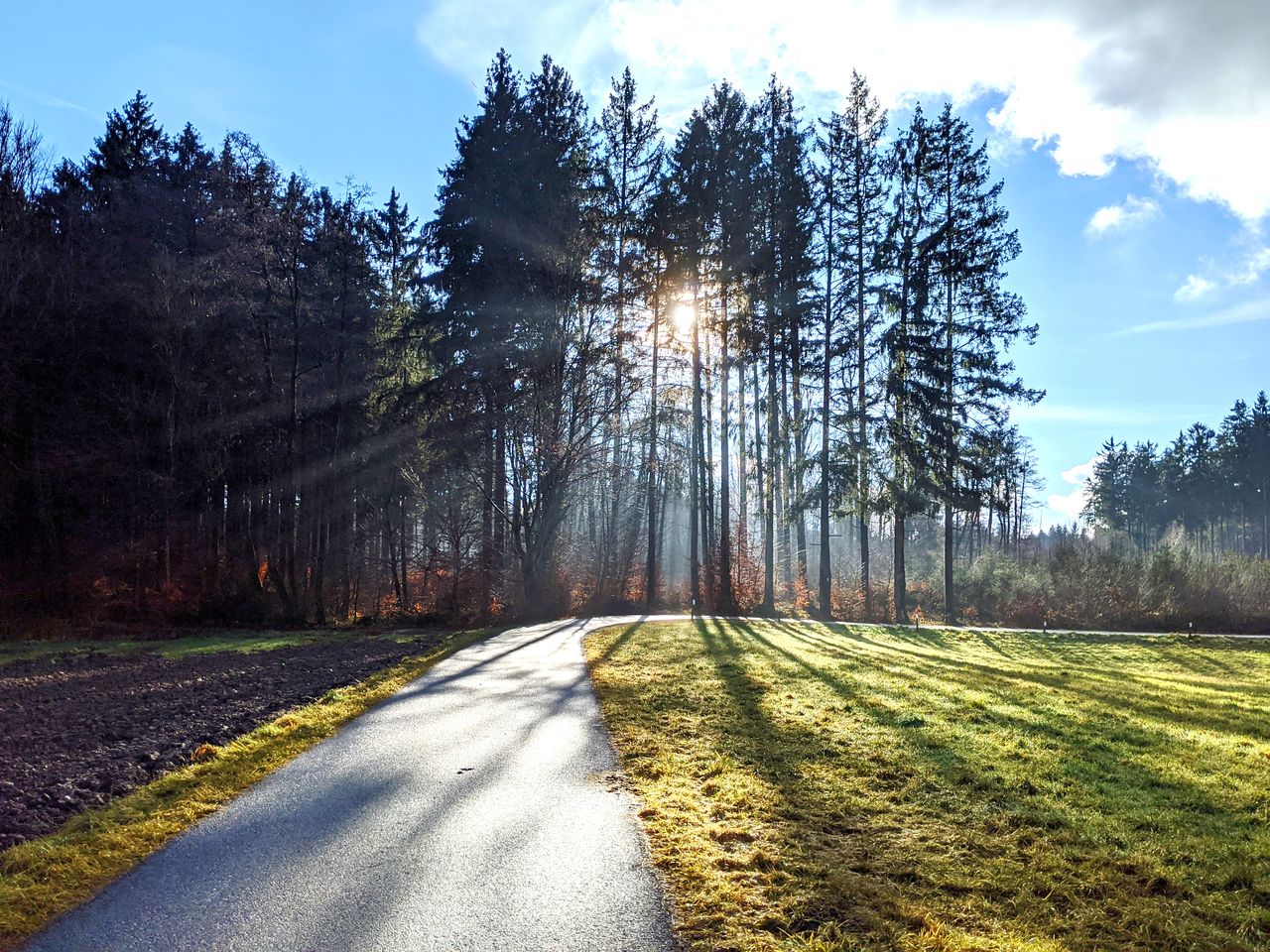 Road amidst trees on field against sky