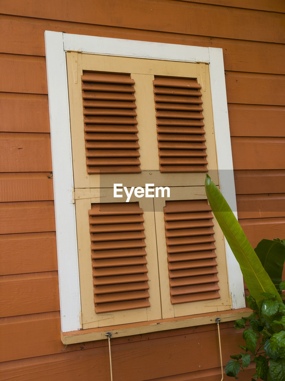 CLOSE-UP OF HOUSE WINDOW