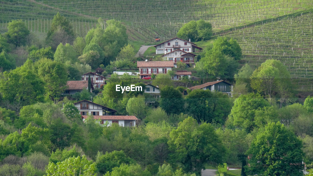 Houses amidst trees and buildings in village