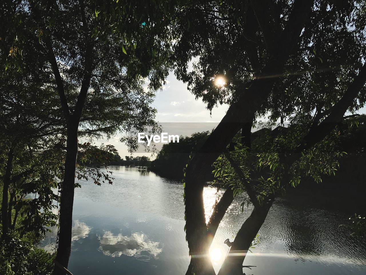 REFLECTION OF TREES IN LAKE AGAINST SKY