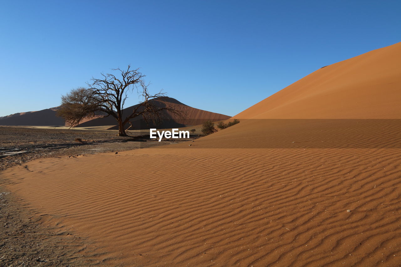 SAND DUNES IN DESERT AGAINST CLEAR SKY