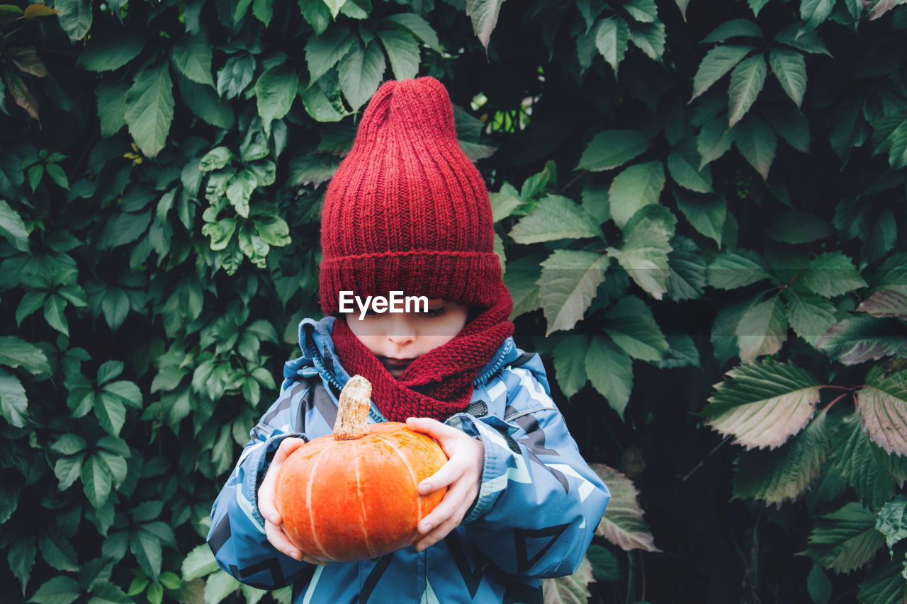 Autumn, little child holding an orange pumpkin. thanksgiving and halloween season. harvesting