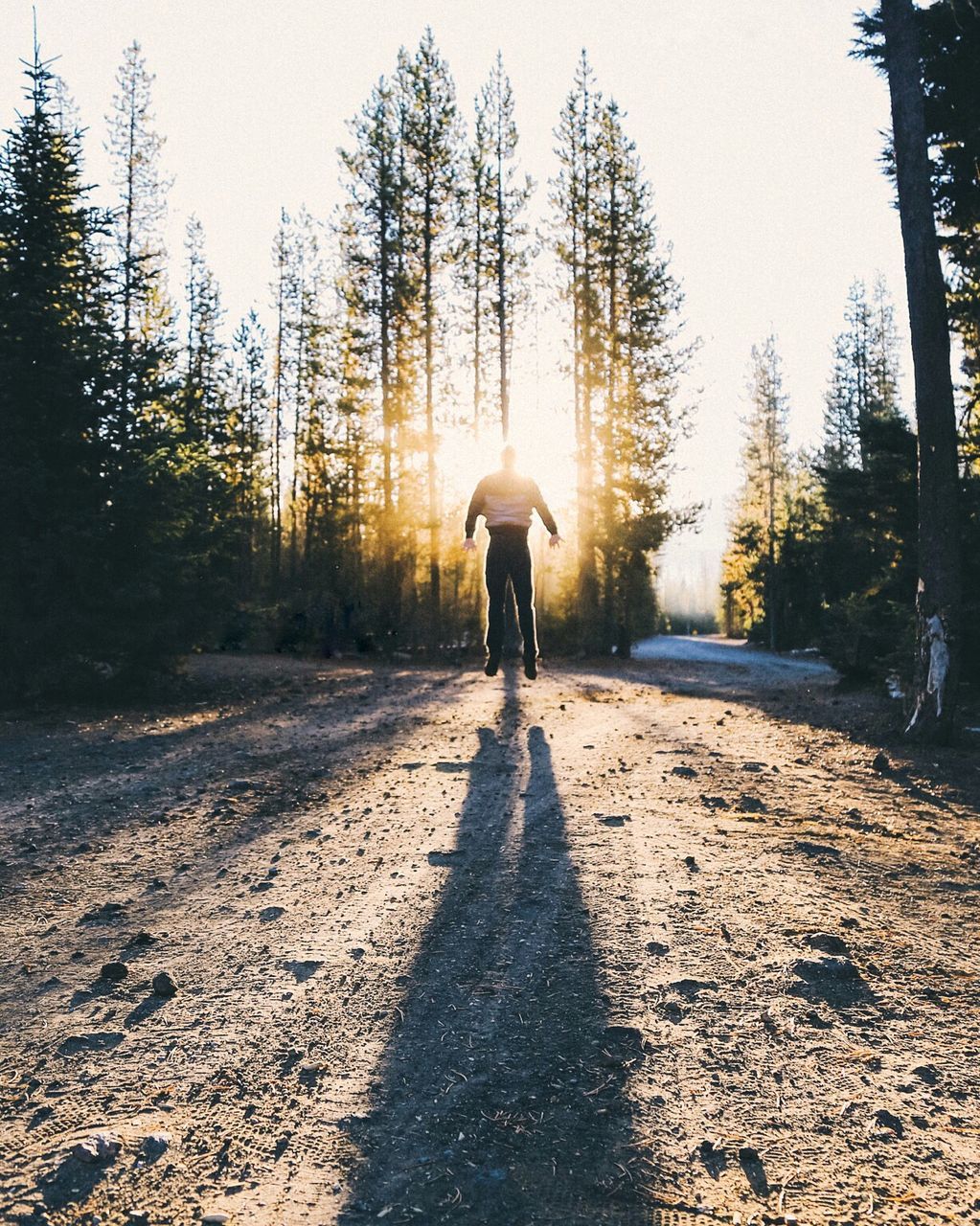 Man jumping on field in forest against sunlight