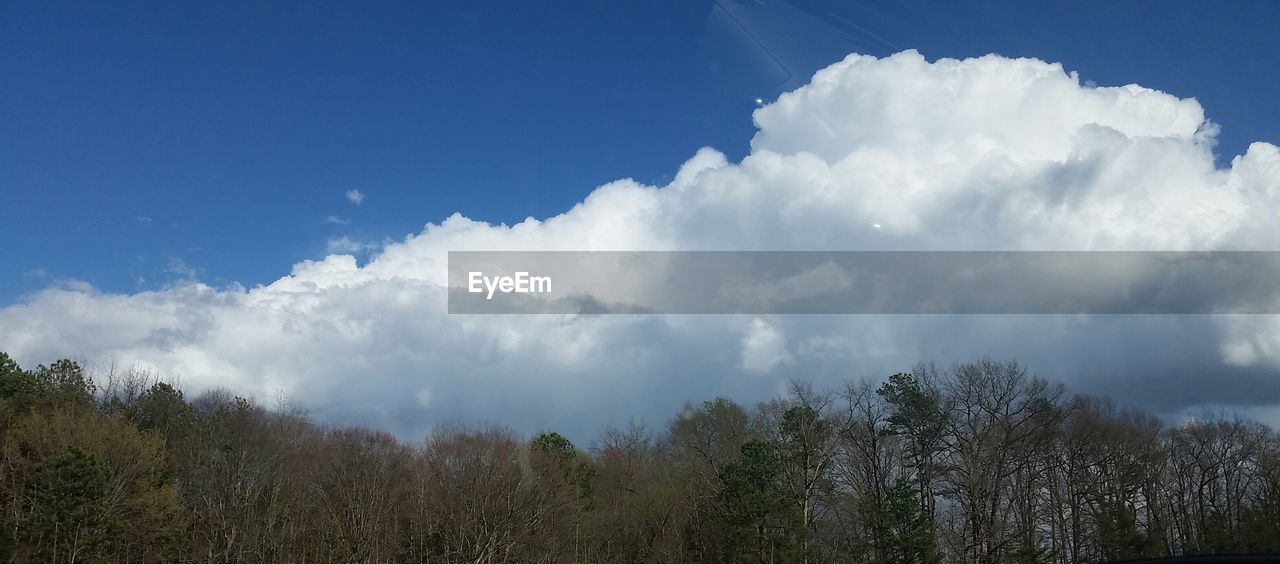 TREES ON LANDSCAPE AGAINST CLOUDY SKY