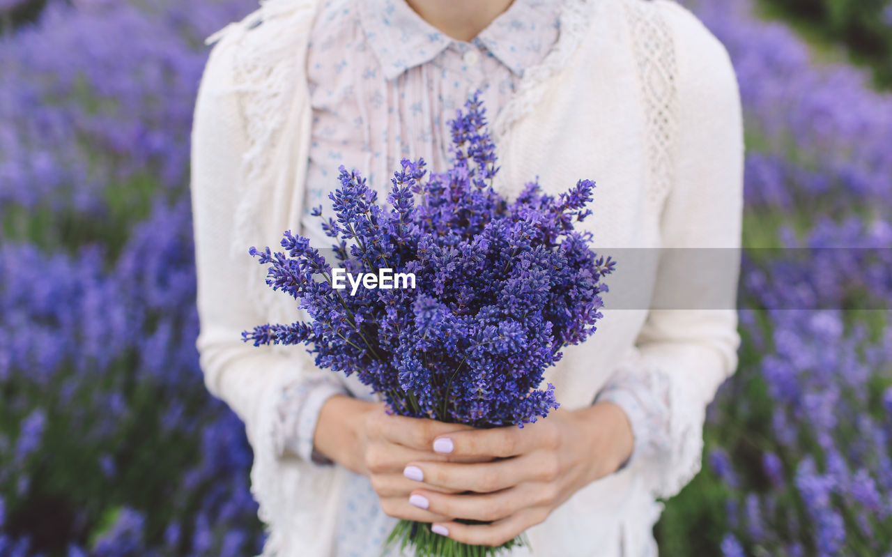 Midsection of woman holding lavender flowers on field