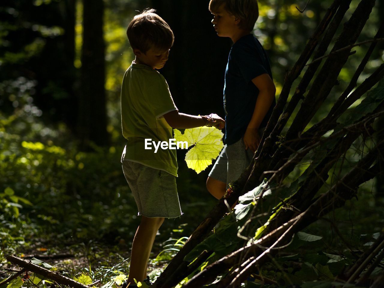 Boys by plants in forest