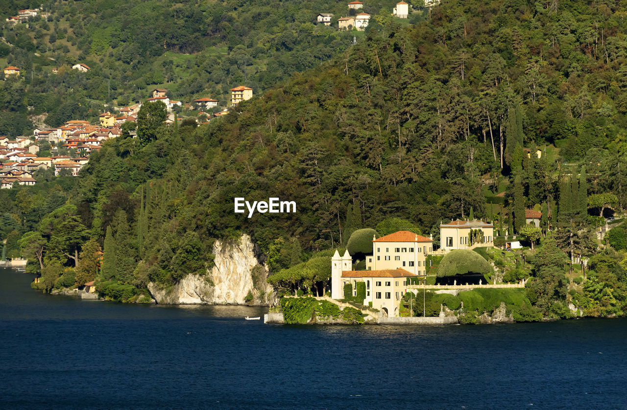 Calm lake against lush foliage