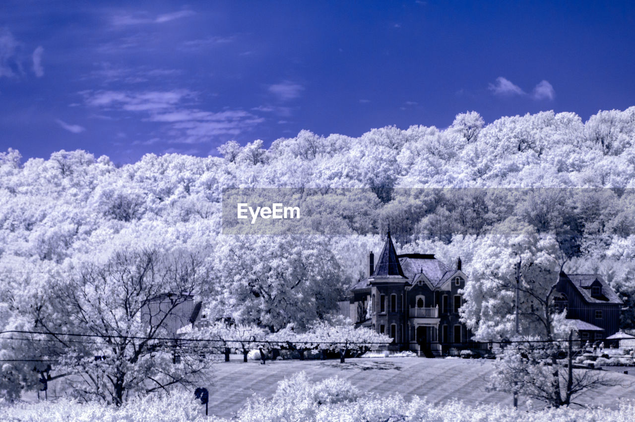 Infrared image of mansion amidst trees against blue sky
