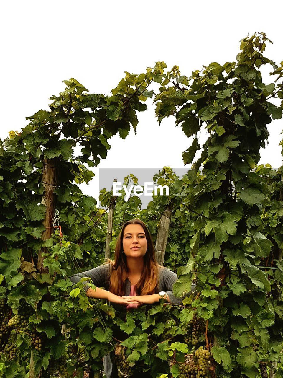 Portrait of young woman standing amidst plants in vineyard