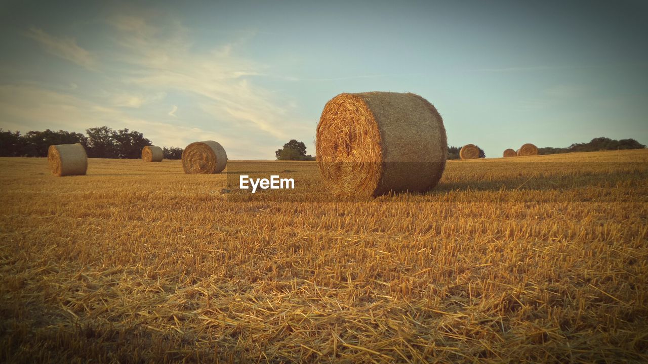 Hay bales on field against sky