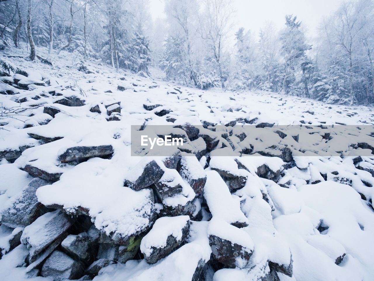 Rocky terrain with fresh powder snow, landscape hidden in heavy fog. misty winter day