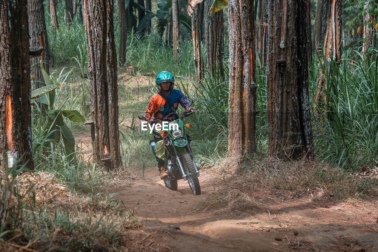 MAN RIDING BICYCLE ON TREE TRUNKS