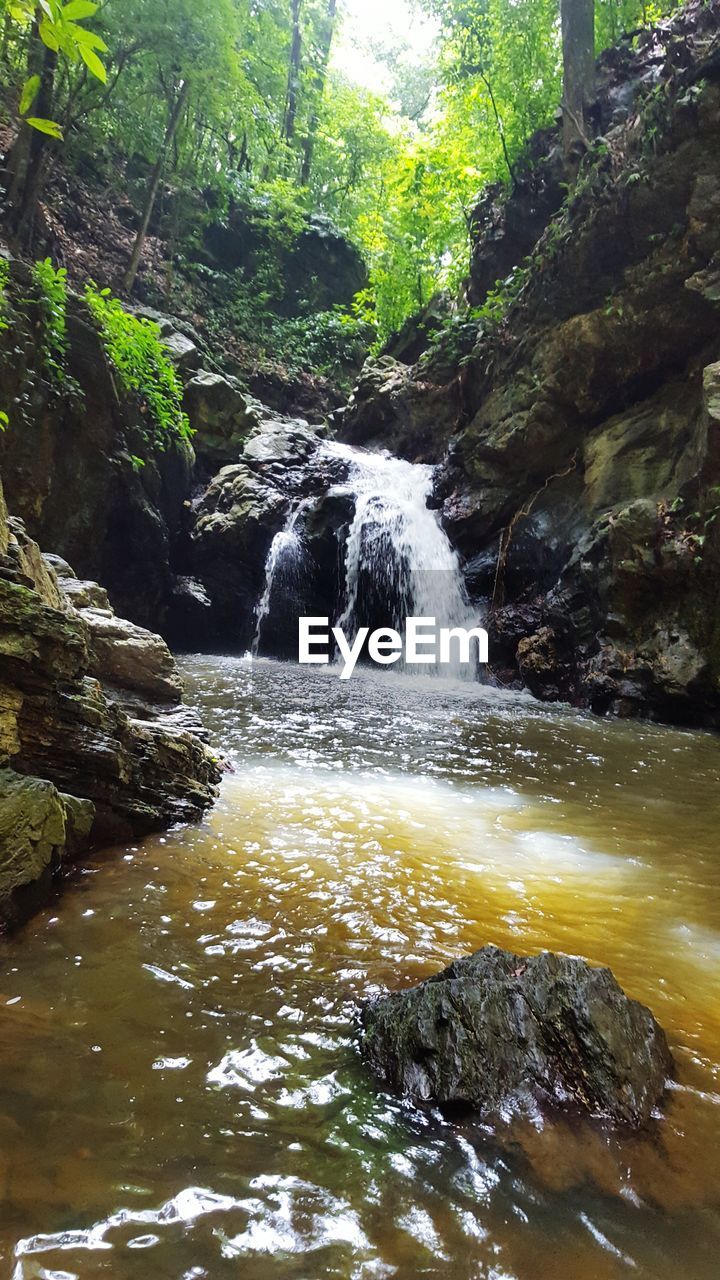 WATERFALL AMIDST TREES IN FOREST