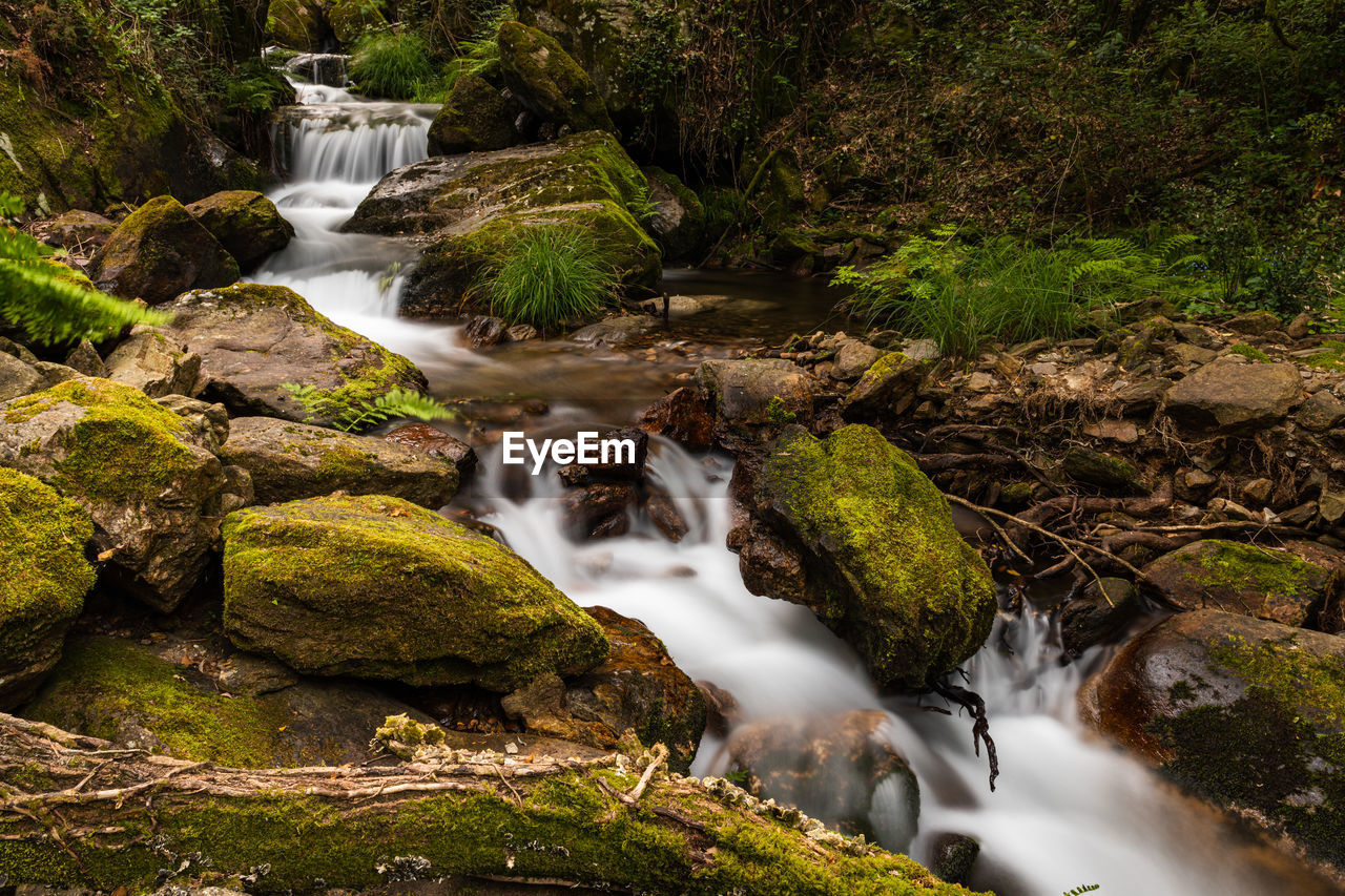 WATERFALL IN FOREST