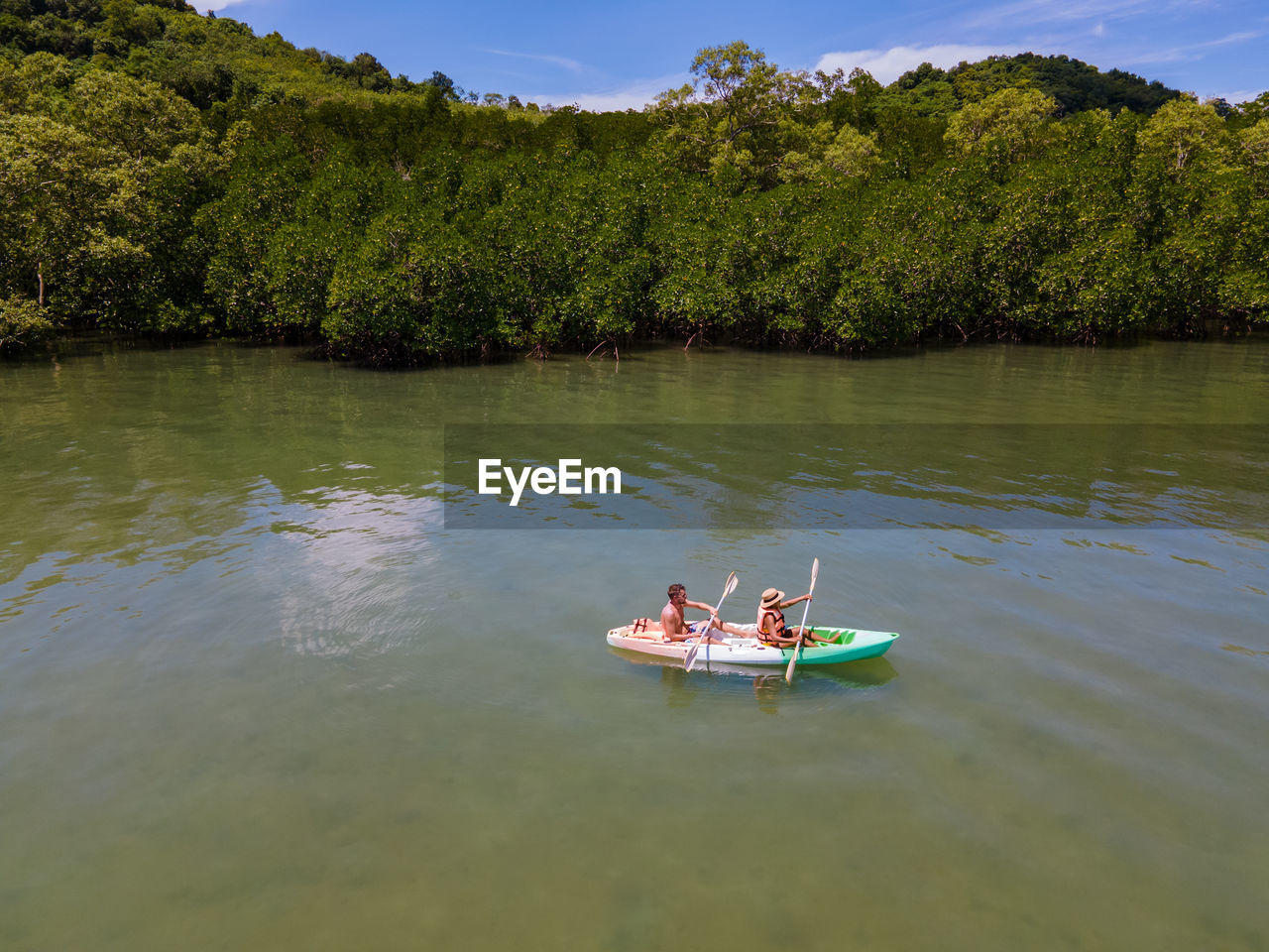 scenic view of lake against trees