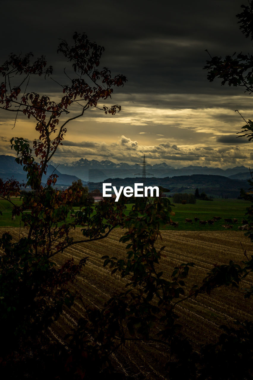 SCENIC VIEW OF FIELD AGAINST SKY AT SUNSET