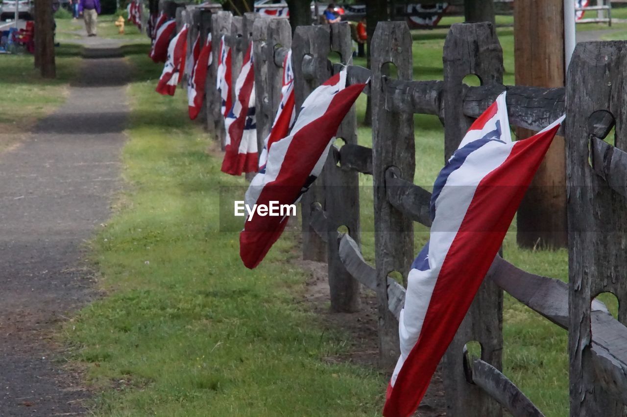 CLOSE-UP OF FLAGS AGAINST GRASS