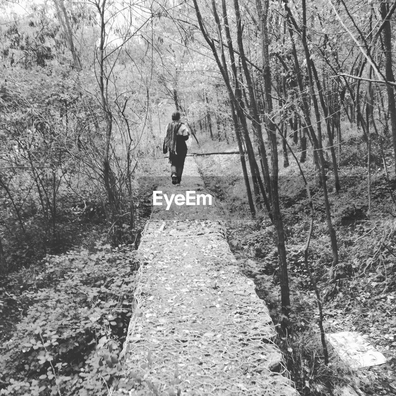 REAR VIEW OF PERSON WALKING IN FOREST