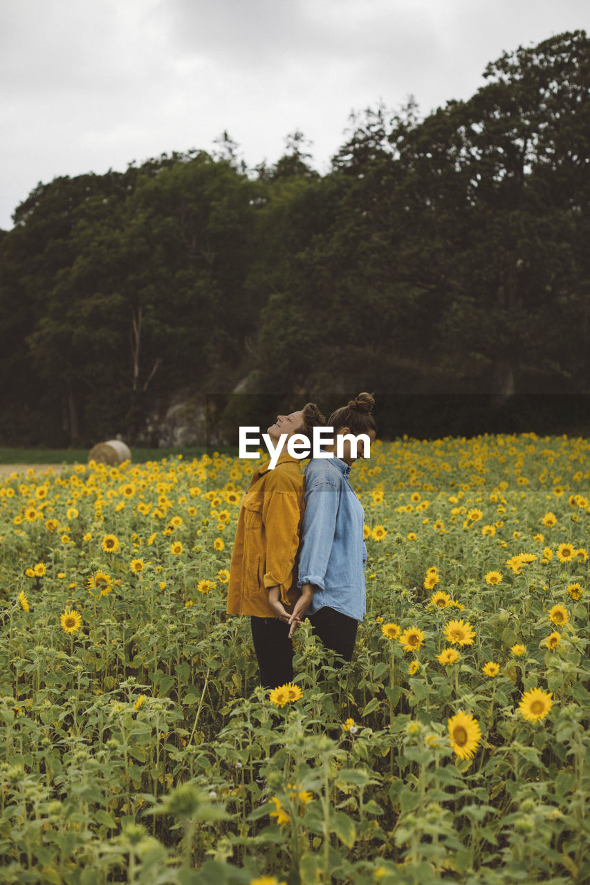 Couple on flowering sunflower field