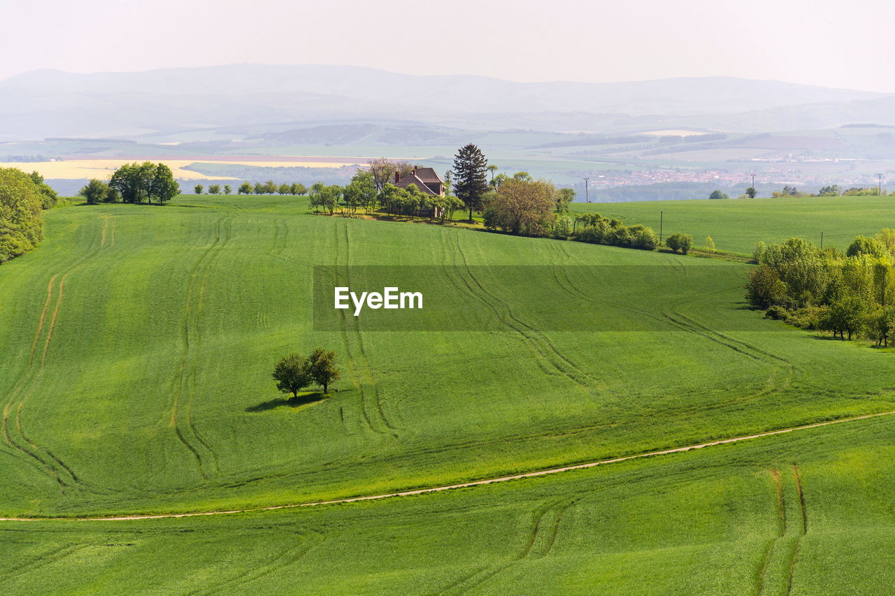 landscape, environment, plant, land, rural scene, field, scenics - nature, agriculture, grassland, plain, green, nature, pasture, beauty in nature, tree, farm, sky, tranquility, growth, hill, crop, tranquil scene, rural area, paddy field, no people, grass, outdoors, day, food and drink, prairie, meadow, social issues, non-urban scene, idyllic, building, food, plateau, travel, environmental conservation, house, architecture, cereal plant, morning