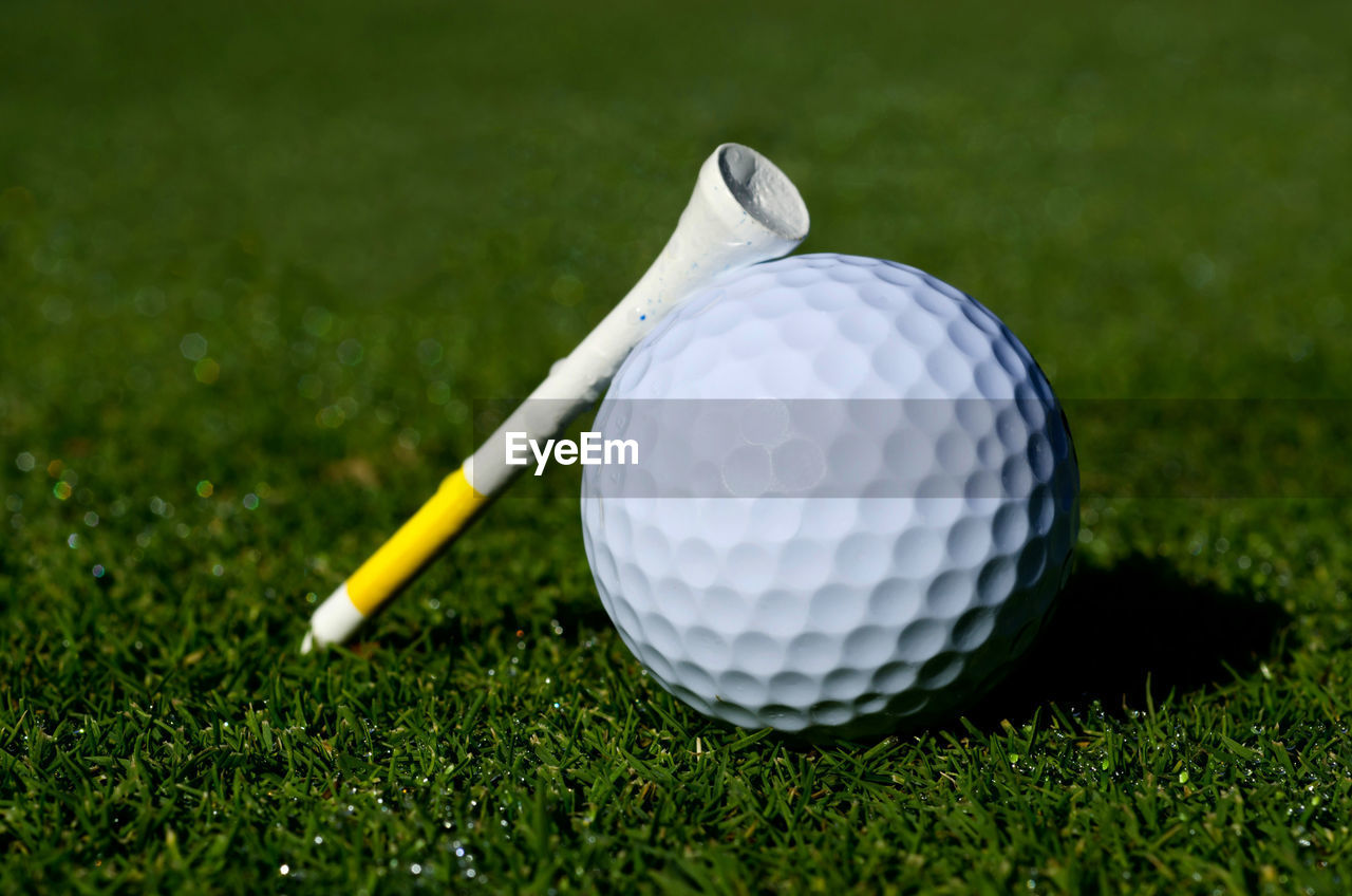 Close-up of golf ball and tee on grass
