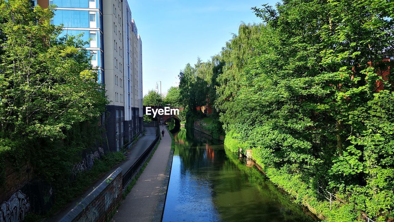 CANAL AMIDST PLANTS AGAINST SKY