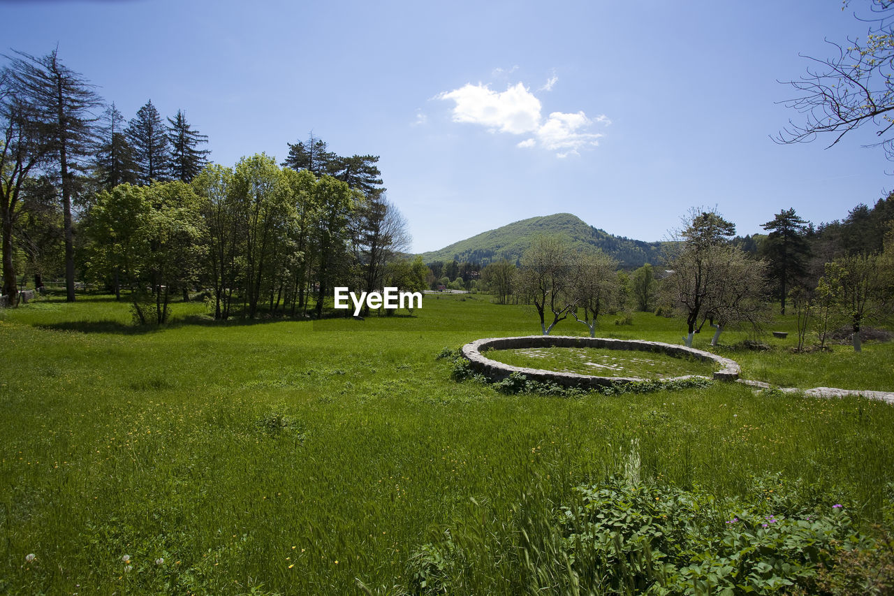 SCENIC VIEW OF LAND AGAINST SKY