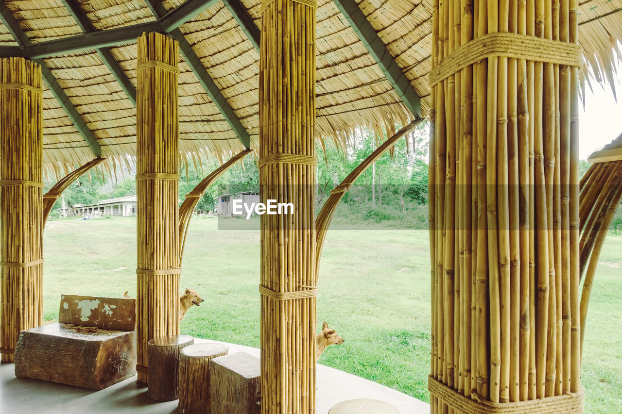 VIEW OF BAMBOO THROUGH WINDOW OF A BUILDING