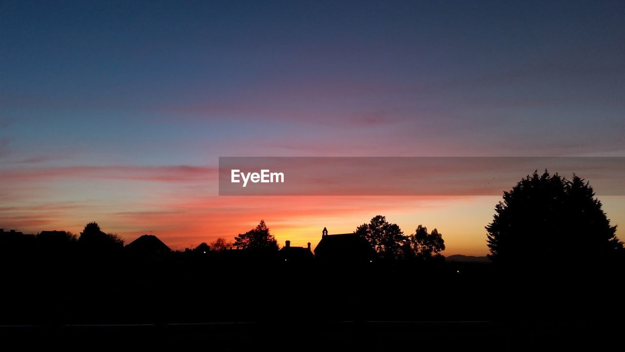 SILHOUETTE TREES AT SUNSET